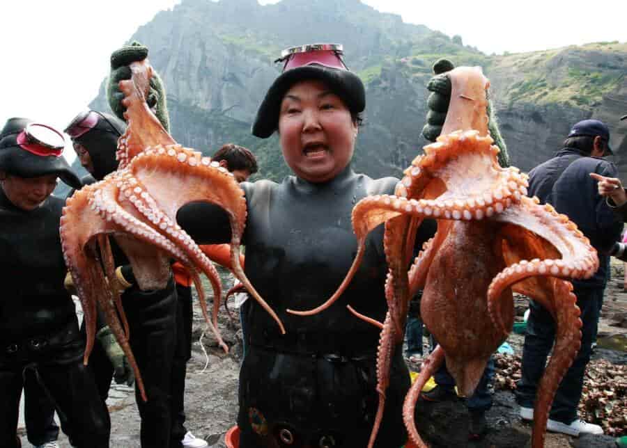 A Haenyeo diver showing off octopuses caught off the coast of Jeju Island in South Korea